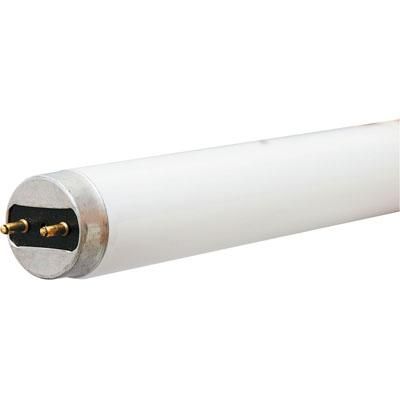 Fluorescent T8 Med Ecolux 32W 50K Lamp F32T8XLSPX50HLEC (SPQ 36)