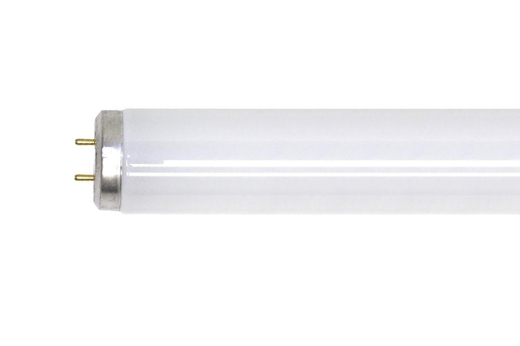 Fluorescent T12 Med 34W 41K 4ft Lamp F34/CW/C/WM/ECO (SPQ 30)