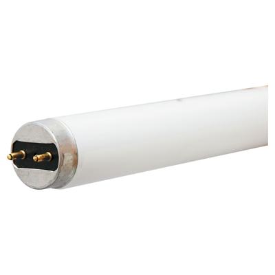 Fluorescent T8 25W 4ft Tube (SPQ 36)