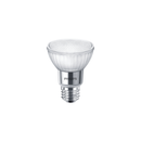 LED PAR20