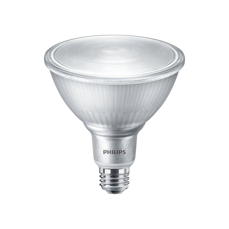LED PAR38